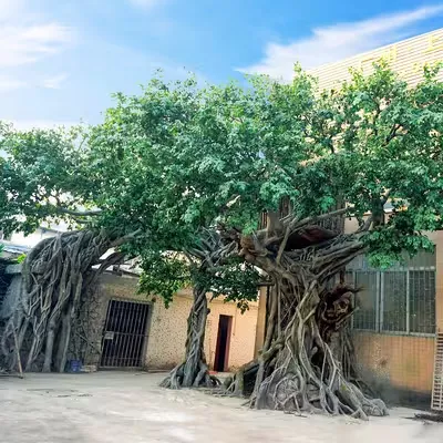 Grandes árvores artificiais centenárias de ficus
