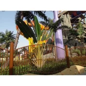 Árvore de viajantes artificiais