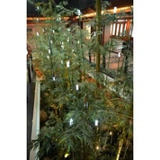 Árvore de bambu do falso alta